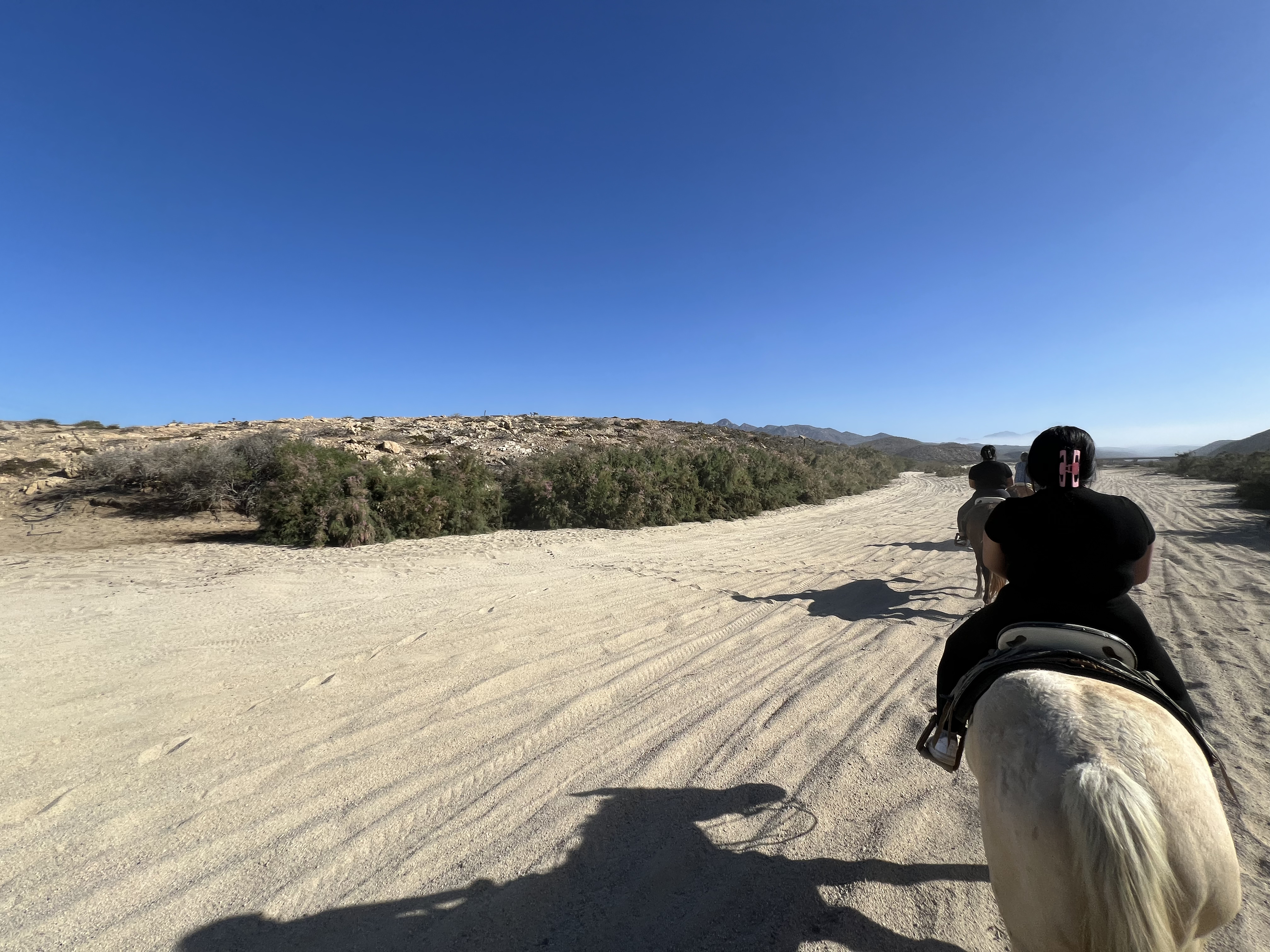 ./2024/13 - Cabo/IMG_4476.jpg